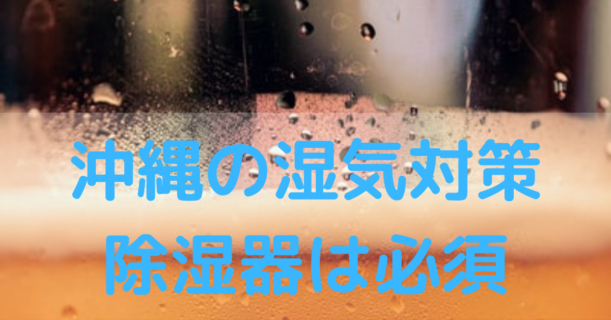 沖縄の湿気対策、除湿器は必須
