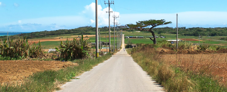 竹富町の道路